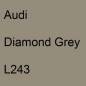 Preview: Audi, Diamond Grey, L243.